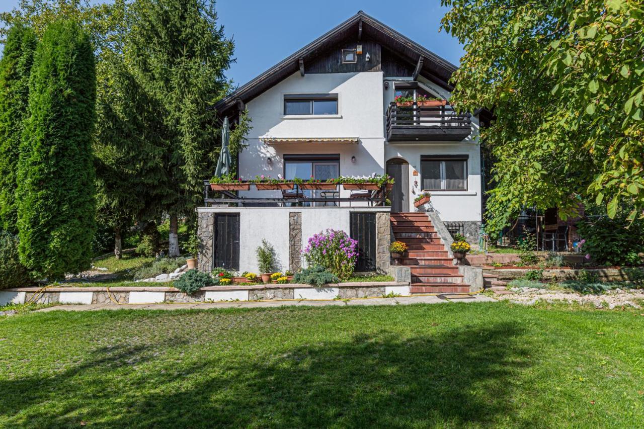 Home Alone Brasov Exterior photo